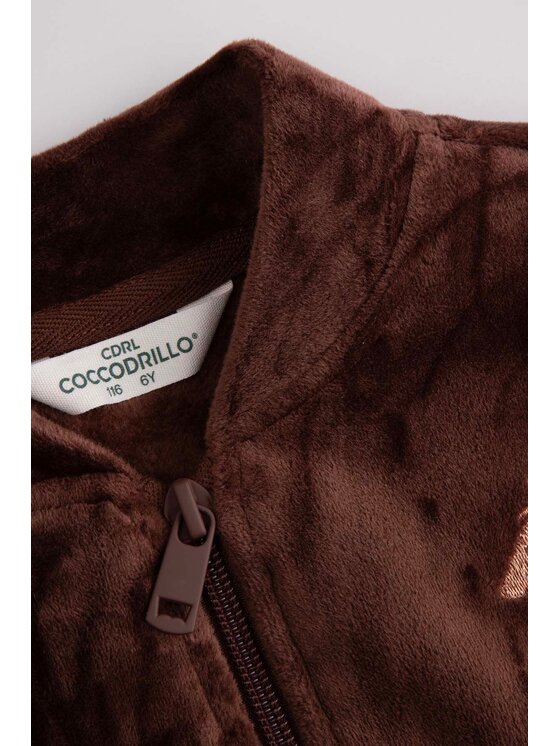 Coccodrillo Coccodrillo Bluza ZC4132202RGK-018 Brązowy Regular Fit