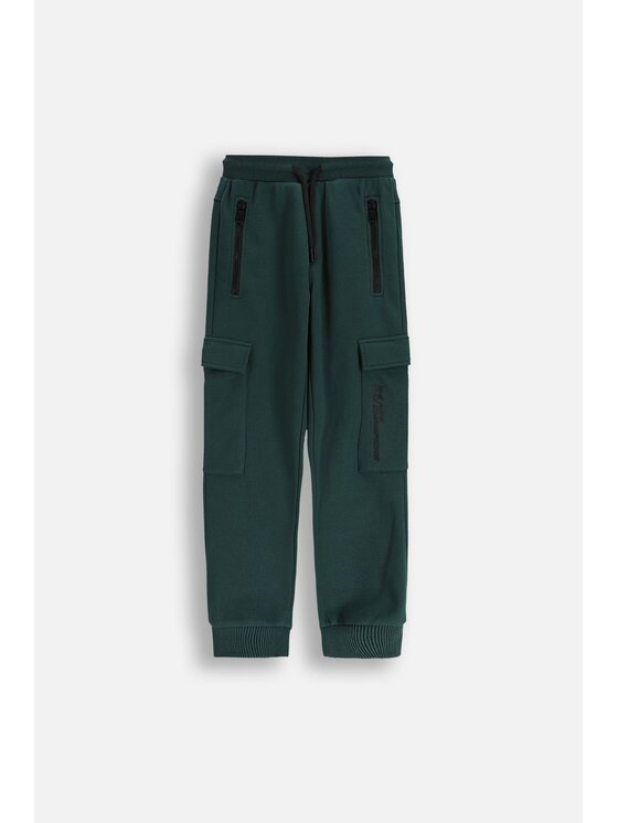 Coccodrillo Coccodrillo Teplákové kalhoty ZC5120101CBJ-011 Zelená Regular Fit