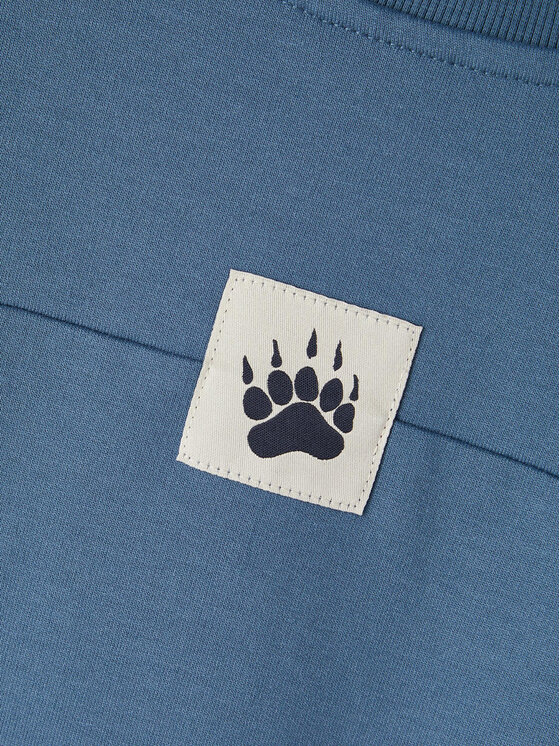 NAME IT NAME IT Світшот 13219369 Голубий Regular Fit