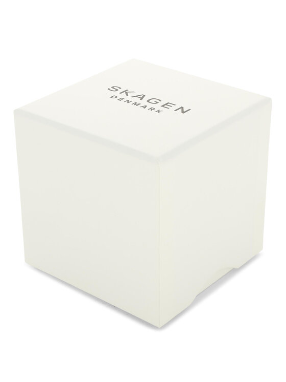 Skagen Skagen Orologio Aaren Naturals SKW6728 Marrone