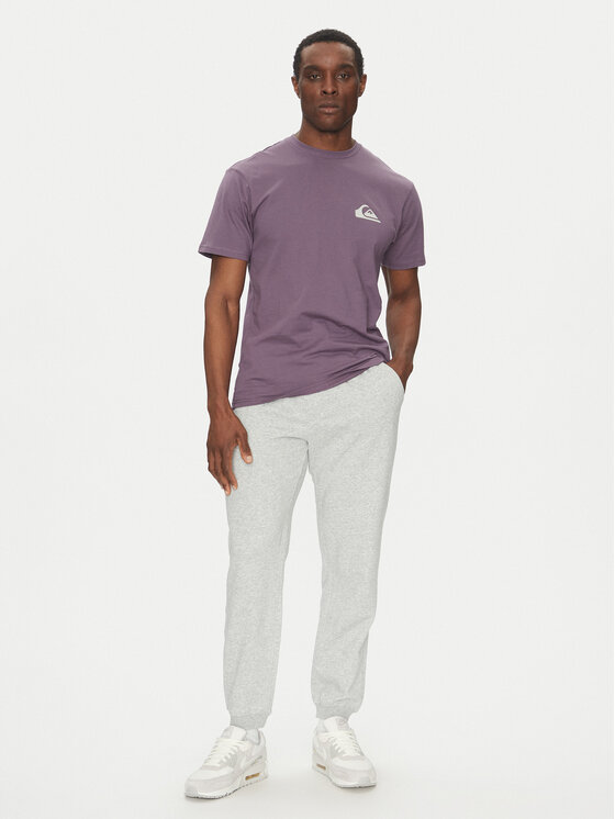 Quiksilver Quiksilver Спортивні штани Salt Water EQYFB03391 Сірий Regular Fit