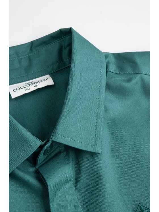 Coccodrillo Coccodrillo Košile ZC6136105EJB-011 Zelená Regular Fit