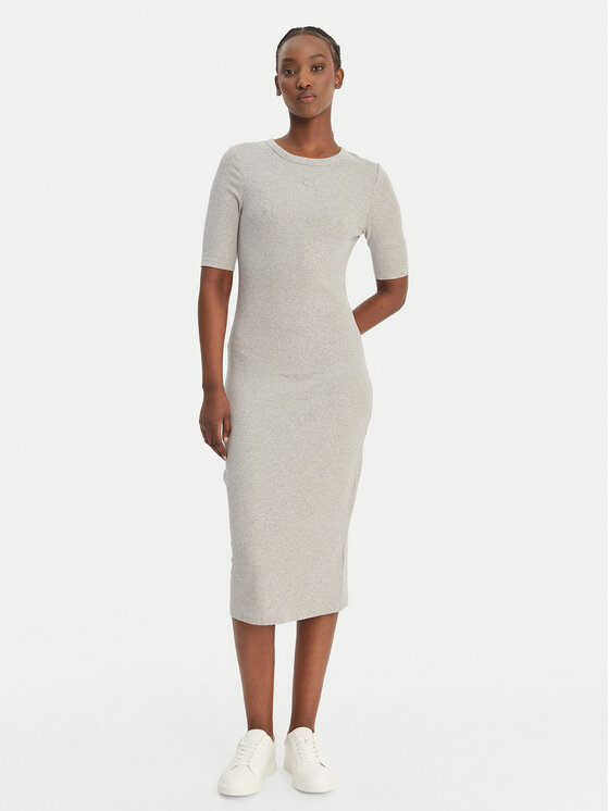 Calvin Klein Jeans Calvin Klein Jeans Kleid für den Alltag LV047D217G Grau Slim Fit