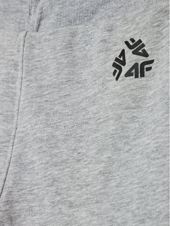 4F 4F Szorty sportowe HJL21-JSKMD003B Szary Regular Fit