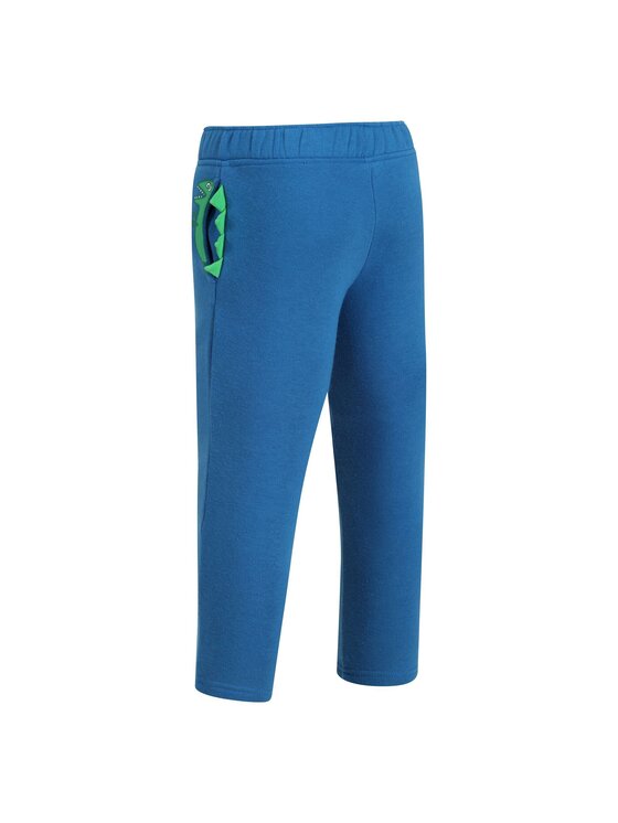Regatta Regatta Spodnie outdoor RG6551 Błękitny Regular Fit