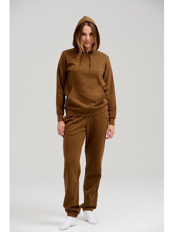 TeeShoppen TeeShoppen Bluza 'Basic Collection' Brązowy Regular Fit