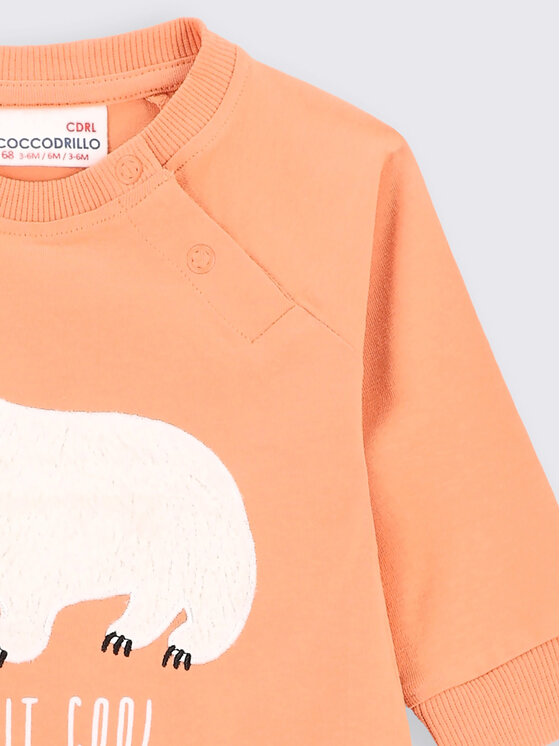 Coccodrillo Coccodrillo Felpa ZC2143105ARN Arancione Regular Fit