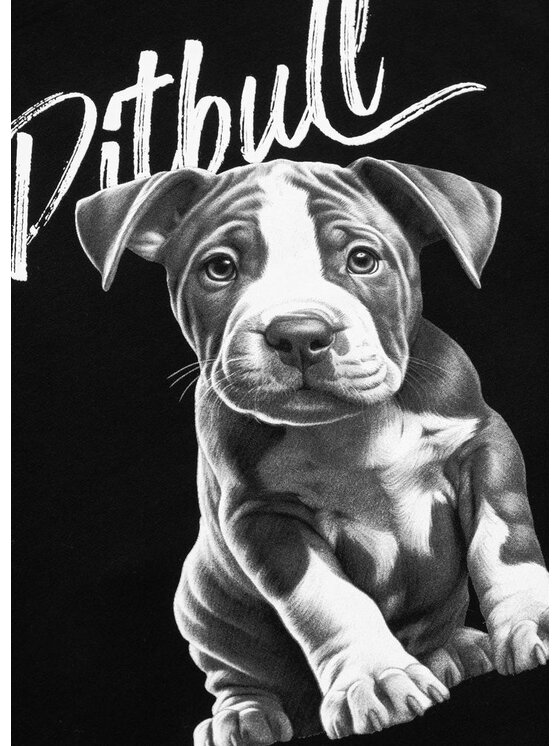 PITBULL PITBULL Bluza Bluza damska z kapturem oversize Puppy XS Czarny Oversize