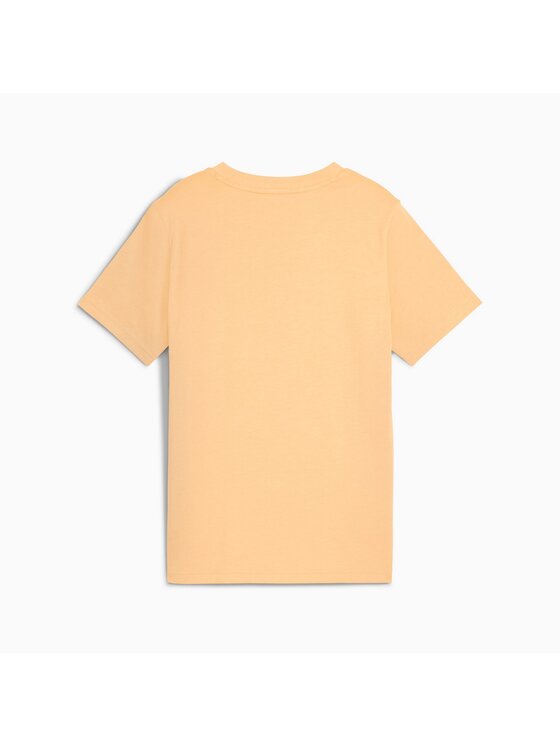 Puma Puma T-Shirt 685778 Pomarańczowy Regular Fit
