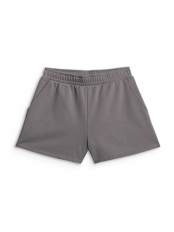 4F 4F Športové kraťasy ESSENTIAL 4 Sivá Regular Fit