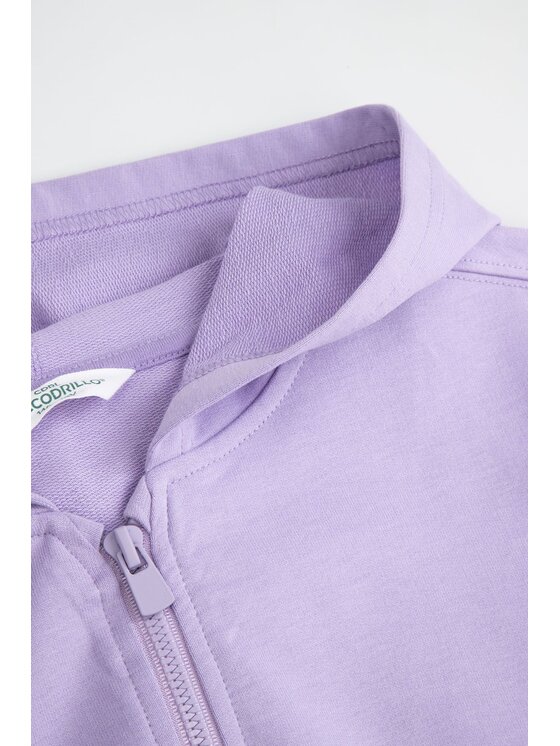 Coccodrillo Coccodrillo Mikina ZC6132401HGJ-016 Fialová Regular Fit