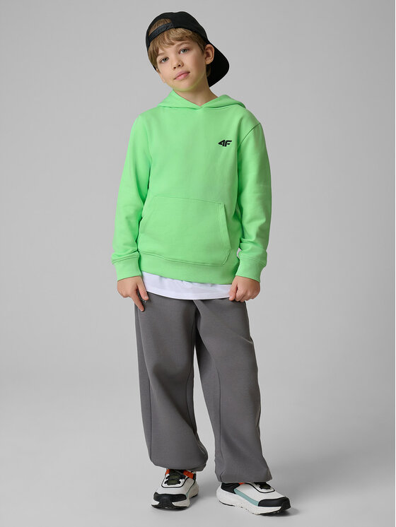 4F 4F Bluza STREET SPORT Zielony Regular Fit