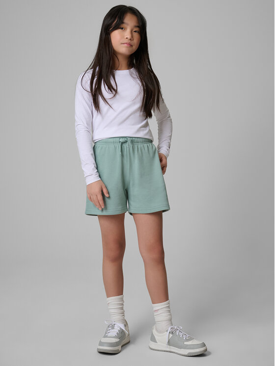 4F 4F Szorty sportowe BASIC+ Turkusowy Regular Fit