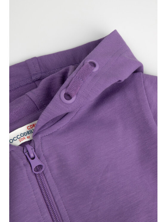 Coccodrillo Coccodrillo Bluza WC4132401VGA-016 Fioletowy Regular Fit