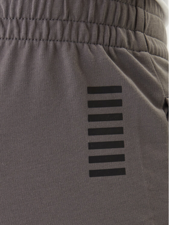 EA7 Emporio Armani EA7 Emporio Armani Pantaloni trening 8NPP66 PJVRZ Gri Regular Fit