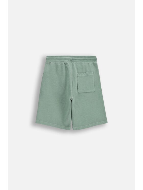 Coccodrillo Coccodrillo Šortky z materiálu WC6120502TBJ-011 Zelená Regular Fit