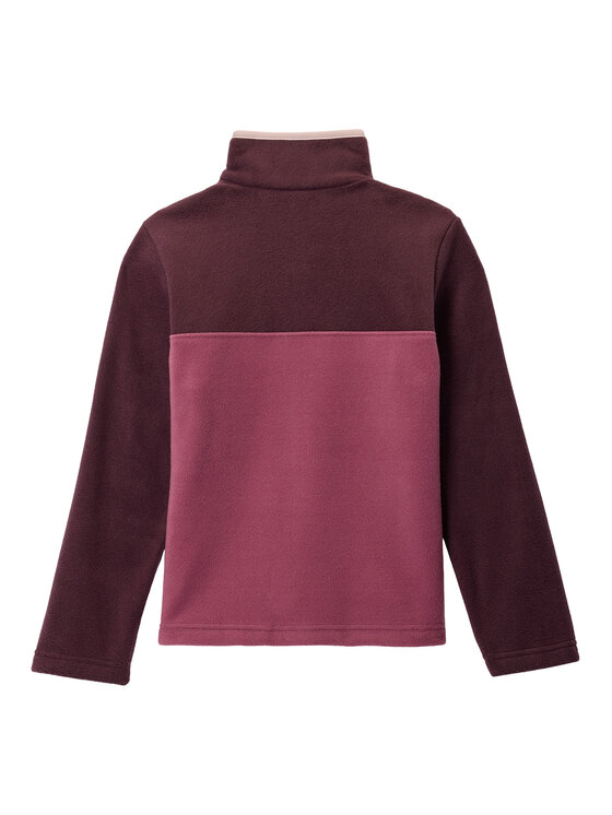 Columbia Columbia Fliso džemperis Steens Mtn™ II 2087881 Violetinė Regular Fit