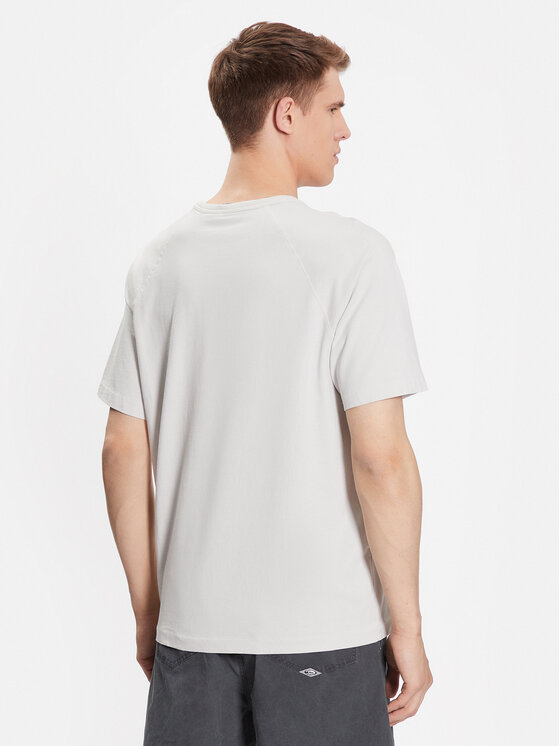 Quiksilver Quiksilver T-Shirt Alpha Dog EQYKT04279 Szary Regular Fit