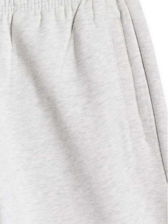 4F 4F Spodnie dresowe BASIC+ Szary jasny Regular Fit