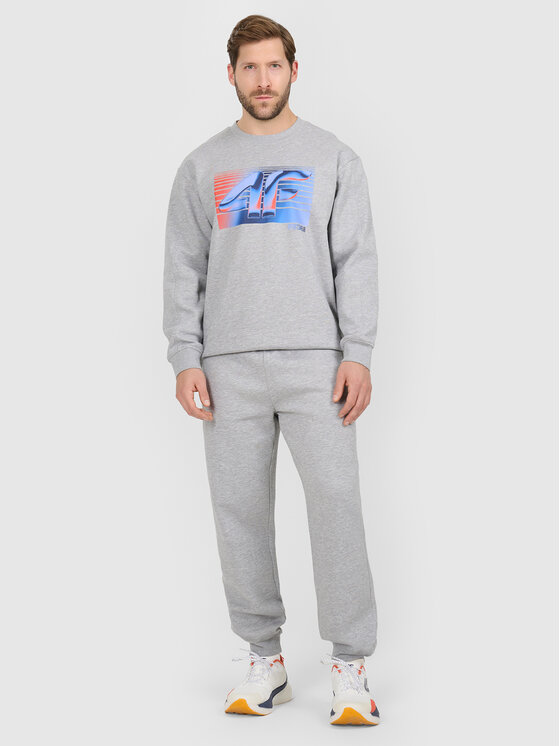 4F 4F Spodnie dresowe WINTER CODE Szary jasny Regular Fit