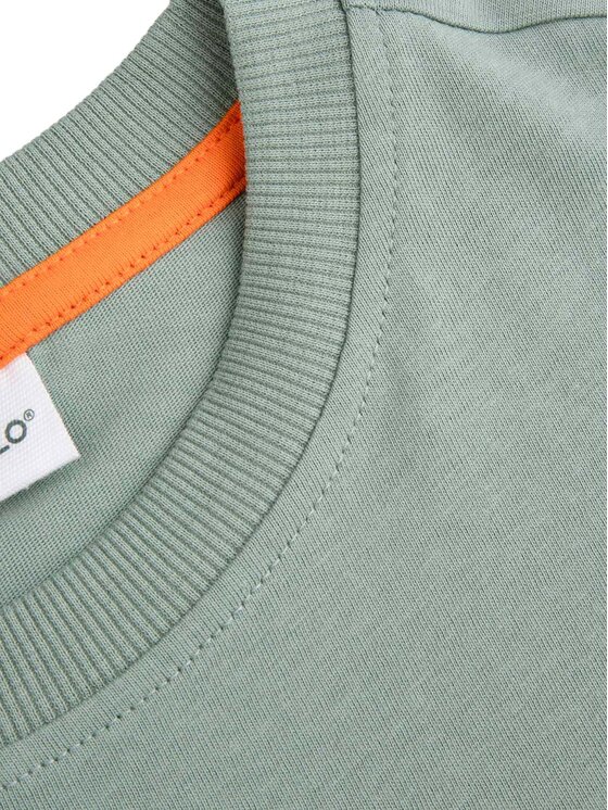Coccodrillo Coccodrillo Tričko WC5143216VBB Zelená Regular Fit