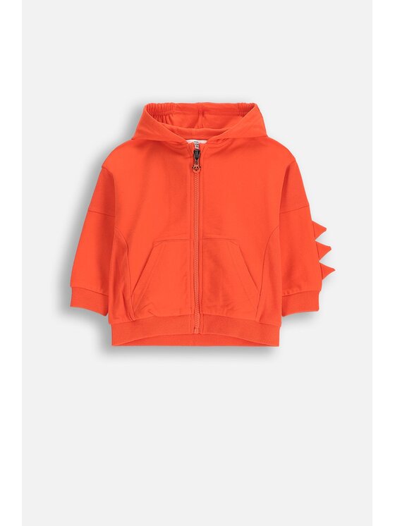 Coccodrillo Coccodrillo Mikina WC5132401DBN-009 Červená Regular Fit
