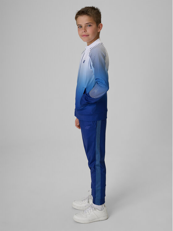 4F 4F Spodnie dresowe AQUA FORCE Kolorowy Regular Fit