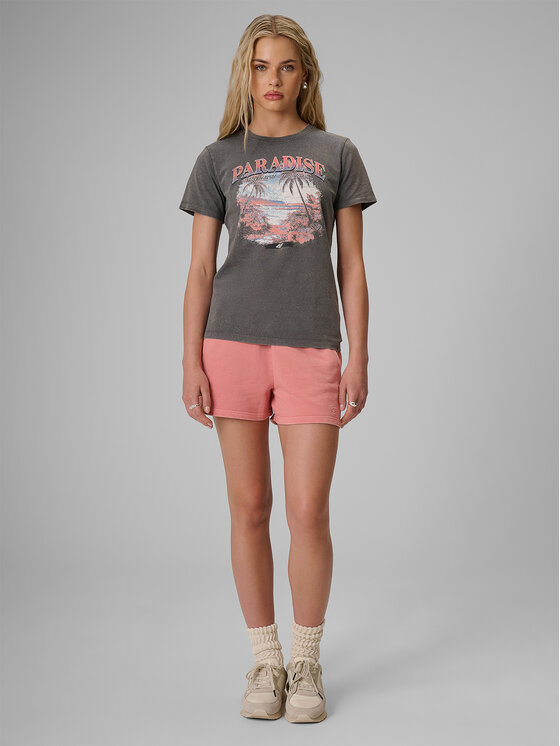 4F 4F T-Shirt APRES SEA Szary Regular Fit