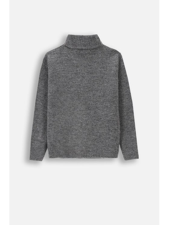 Coccodrillo Coccodrillo Sweter ZC4172201WBK-020 Szary Regular Fit