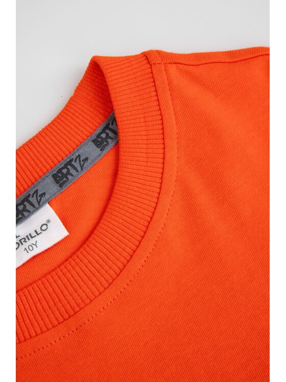 Coccodrillo Coccodrillo T-Shirt ZC5143204SBJ-009 Červená Regular Fit