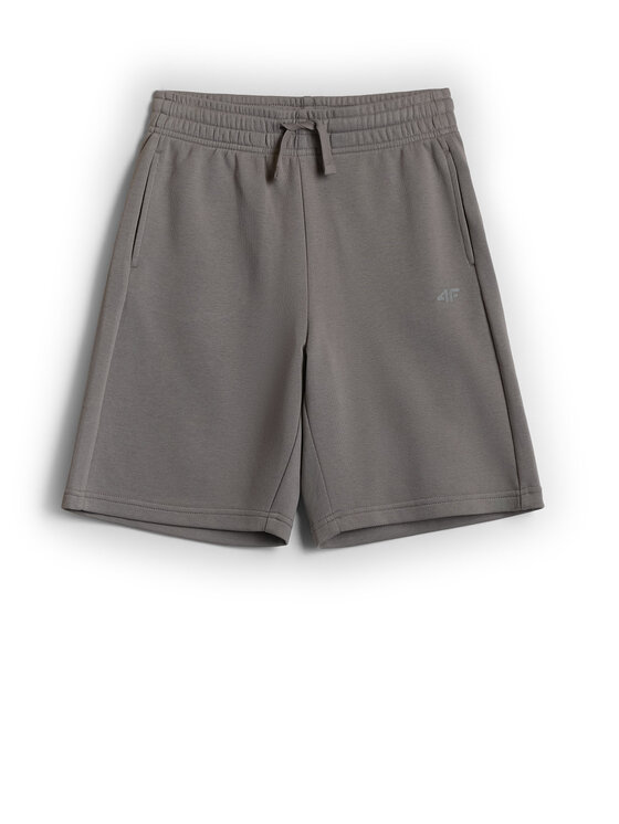 4F 4F Szorty sportowe WAVE RIDERS CLUB Szary Loose Fit