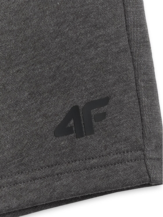 4F 4F Športové kraťasy BASIC+ Tmavosivá Regular Fit