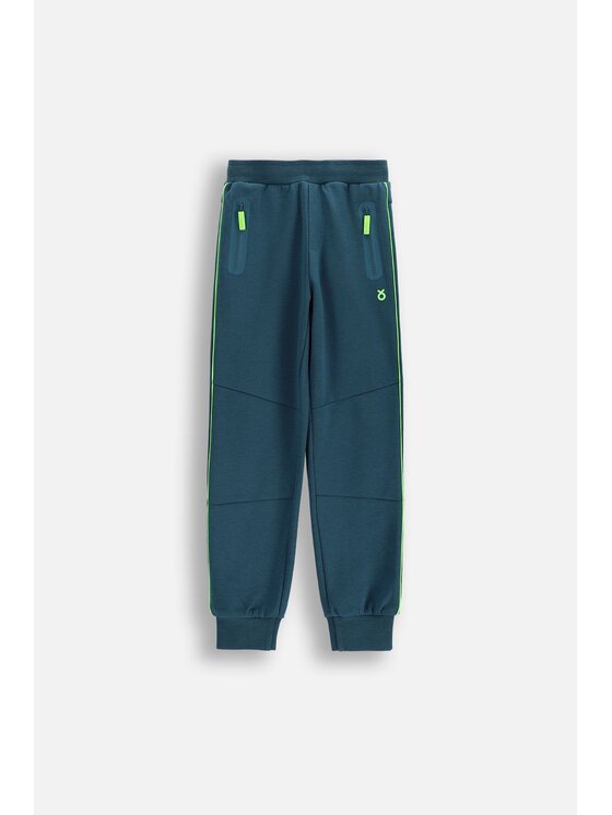 Lemon Explore Lemon Explore Spodnie dresowe WL6120102ACB-011 Zielony Regular Fit