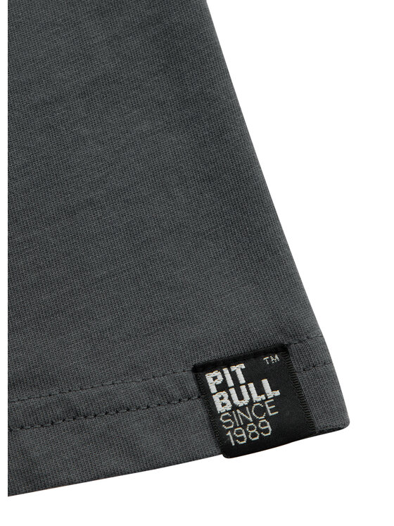 PITBULL PITBULL T-Shirt HILLTOP Szary Regular Fit