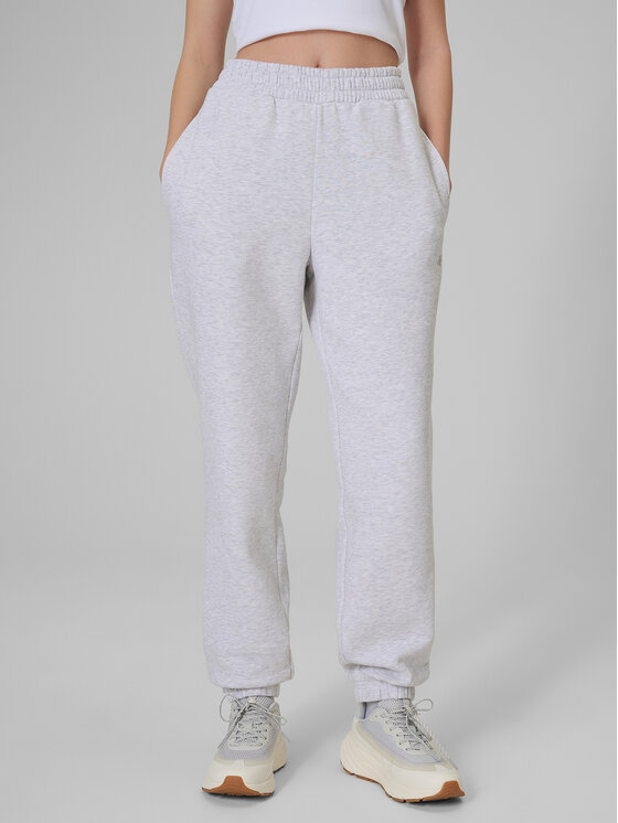 4F 4F Spodnie dresowe BASIC+ Szary jasny Regular Fit
