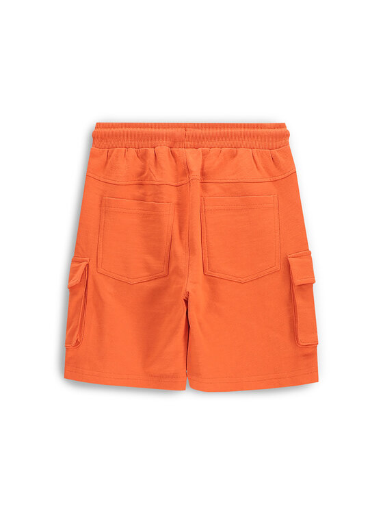 Coccodrillo Coccodrillo Szorty sportowe WC5120501HBK Pomarańczowy Regular Fit
