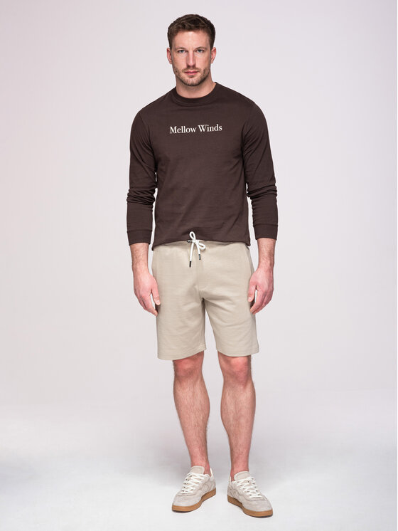 Ombre Ombre Szorty materiałowe OM-SRBS-0205 Szary Relaxed Fit