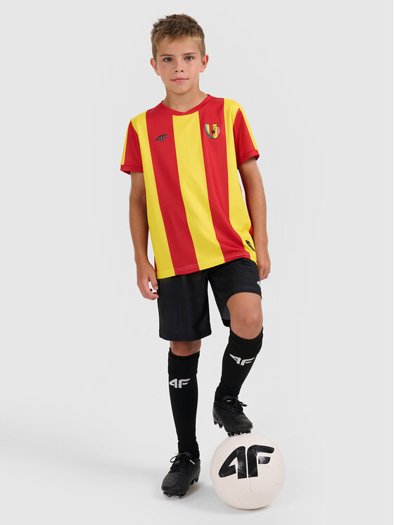 4F 4F Koszulka techniczna TEAMWEAR Kolorowy Regular Fit