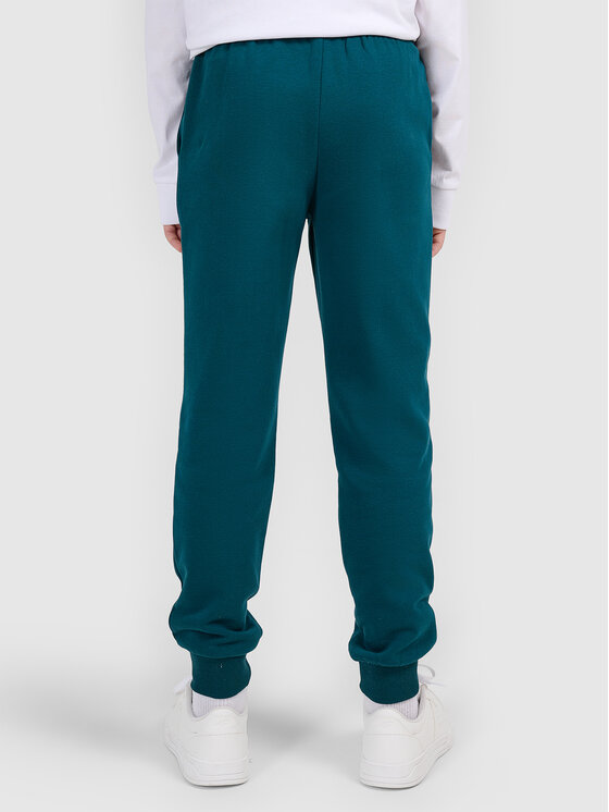4F 4F Spodnie dresowe 4FJWAW26TTROM1770-40S Zielony ciemny Jogger Fit