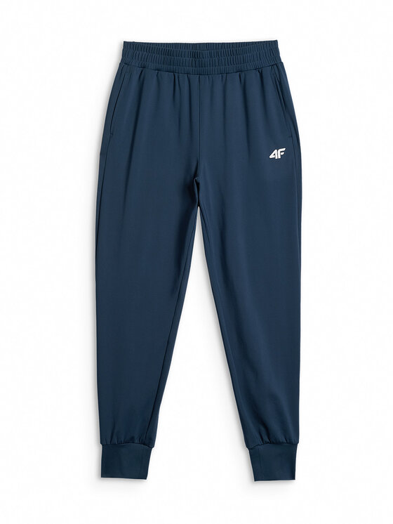 4F 4F Spodnie dresowe BASIC+ Turkusowy Regular Fit