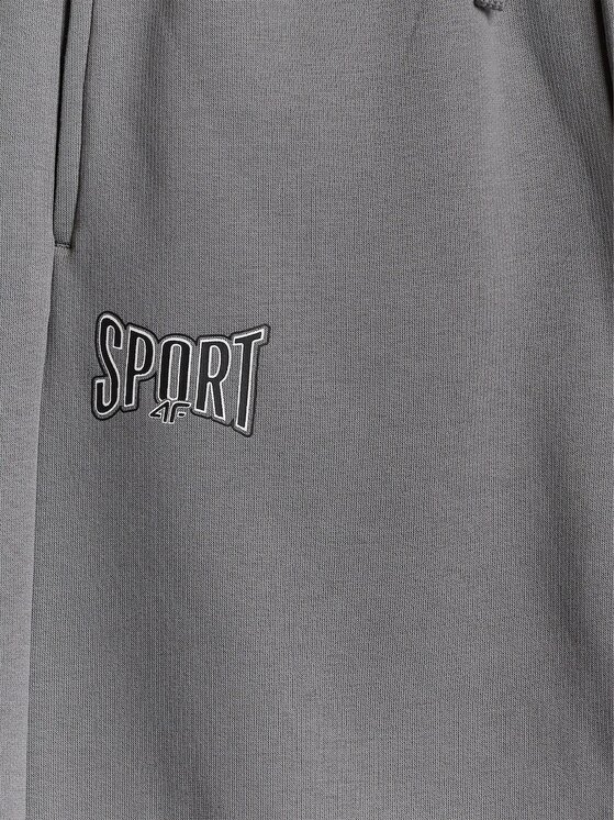 4F 4F Spodnie dresowe STREET SPORT Szary