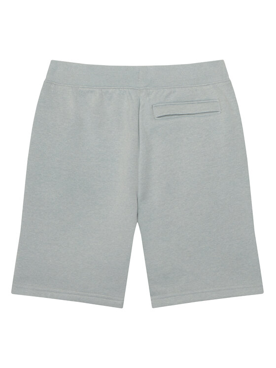 Under Armour Under Armour Pantaloni scurți sport Rival 1363508 Gri Regular Fit