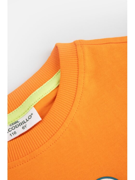Coccodrillo Coccodrillo Tričko WC6143202FBK-006 Oranžová Regular Fit