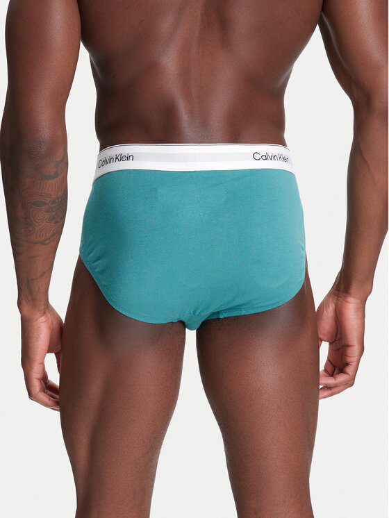 Calvin Klein Underwear Calvin Klein Underwear 3er-Set Slips LV00NB4388 Bunt