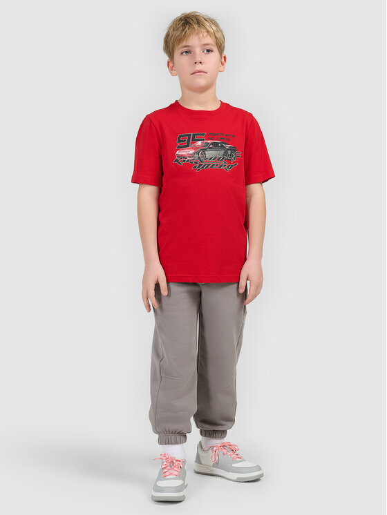 4F 4F Spodnie dresowe ESPORTS RACING Szary Regular Fit