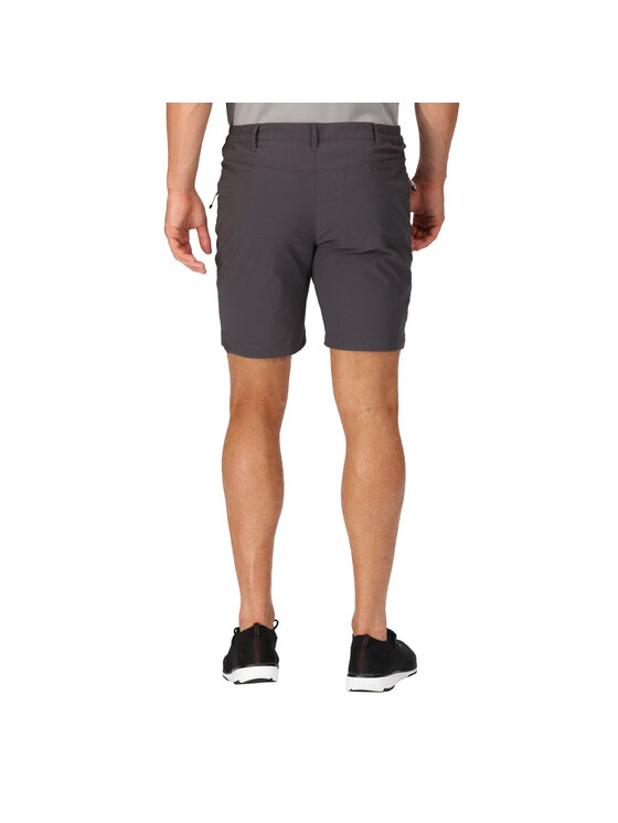Regatta Regatta Szorty Highton Szary Long Fit