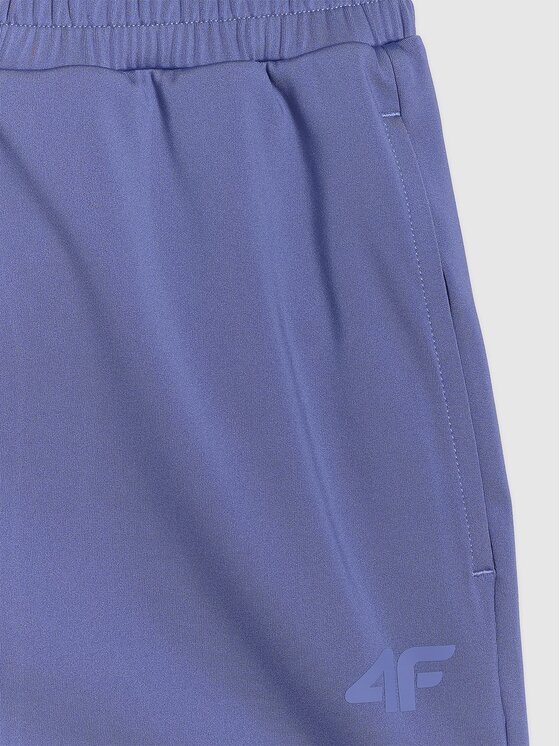 4F 4F Pantaloncini sportivi 4FWAW25TFSHF1038 Nero Regular Fit