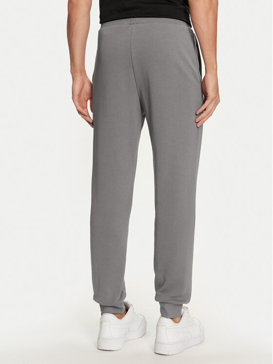 4F 4F Donji dio trenerke 4FWMM00TTROM0942 Siva Regular Fit