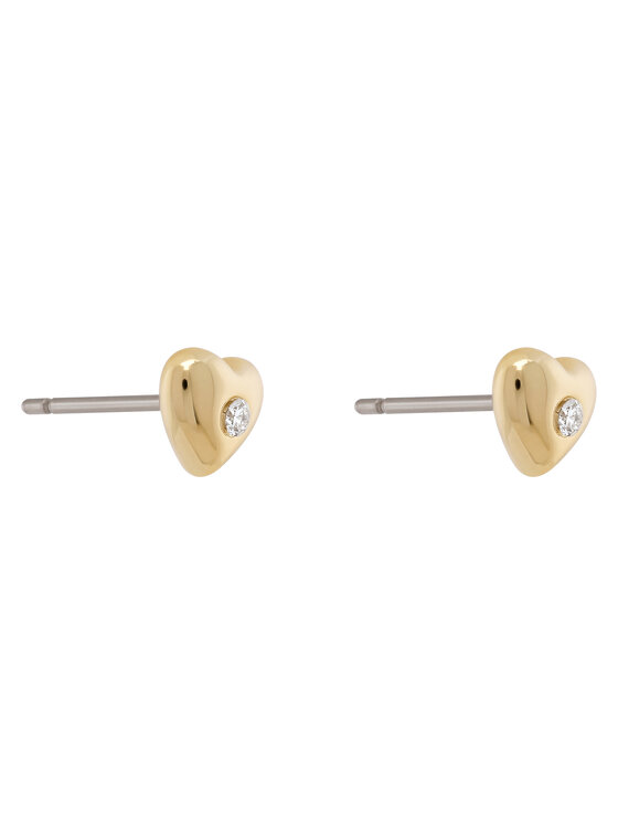 Coach Coach Kaklarotas un auskaru komplekts 37571285 Zelta