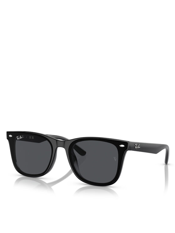 Ray-Ban Ray-Ban Sonnenbrillen 0RB4420 Schwarz